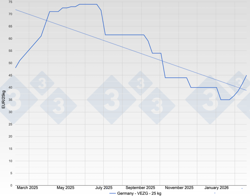 Piglet price in Germany - VEZG - 25 kg