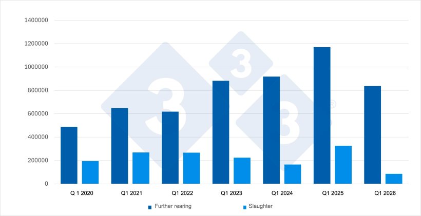 Figure 1. Trends in Spanish imports during the first quarter of pigs intended for further rearing and slaughter. Source: 333, based on data from MAPA.