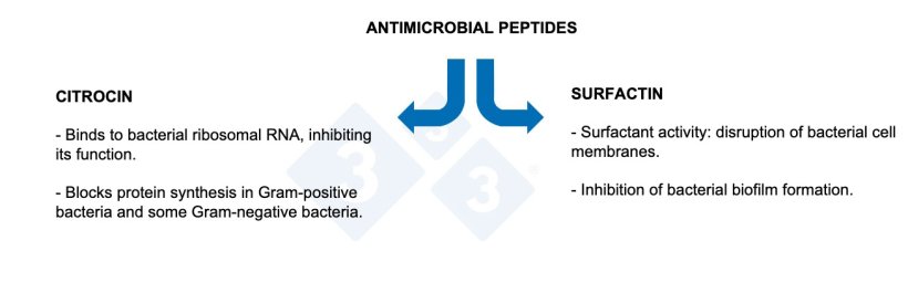 Figure 3.&nbsp;Properties of antimicrobial peptides.
