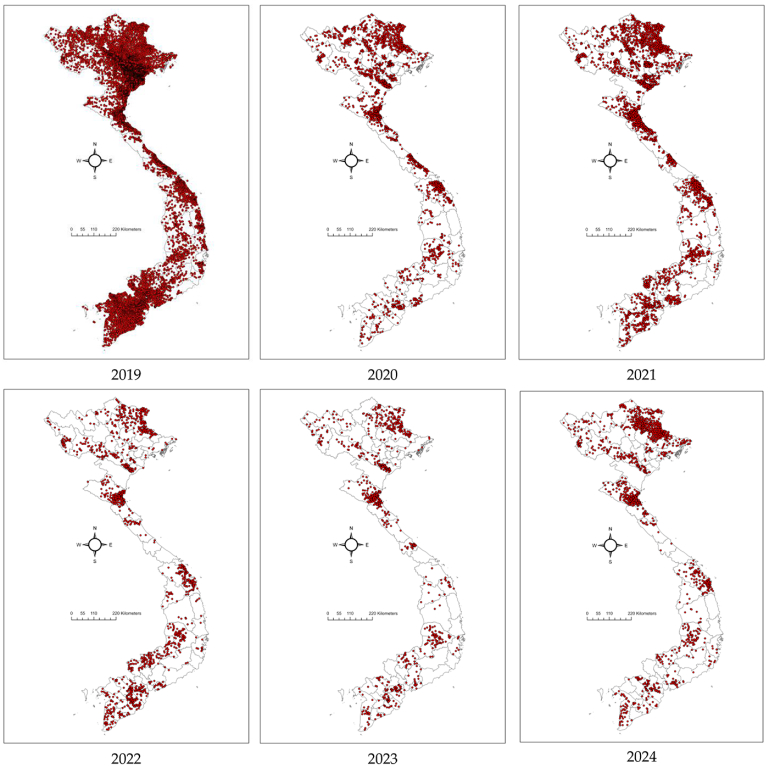 Maps showing the distributions of ASF outbreaks in Vietnam from 2019 to 2024. Red dots presented ASF outbreaks at the commune level.&nbsp;Chuong, V et al, 2025
