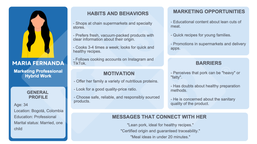 Figure&nbsp;1. Example of a buyer persona.
