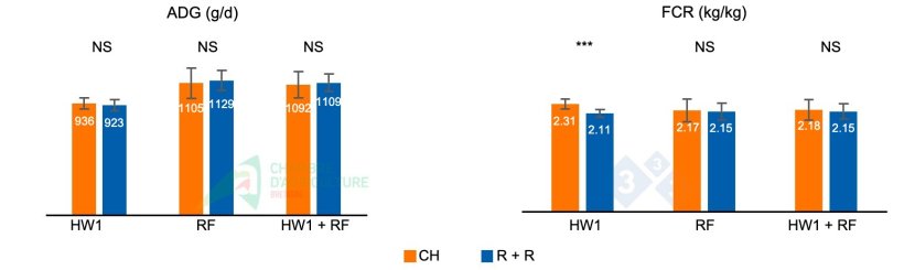 Figure 1. ADG and FCR during the first heat wave of batch 1 (HW1), during the subsequent refeeding phase (RF), and the cumulative values for both phases (HW1 + RF).
