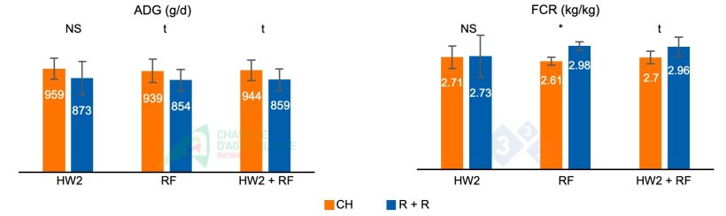 Figure 2.&nbsp;ADG and FCR during the second heat wave of batch 1 (HW2), during the subsequent refeeding phase (RF), and the cumulative values for both phases (HW2 + RF).

