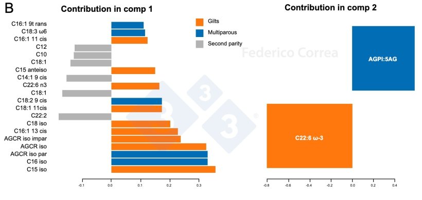 Figure 1. Effect of parity on the lipid and metabolomic profile of porcine colostrum. Analysis of the fatty acid profile (A-B) shows a partial separation between gitls, second parity sows, and multiparous sows (A), with specific fatty acids contributing to the differentiation between parity groups (B).
