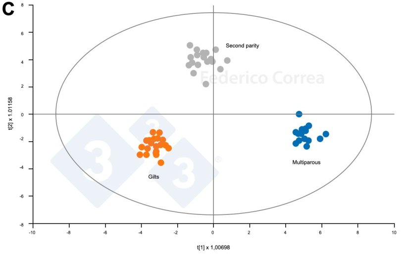 Figure 2. In contrast, the metabolomic profile (C-D) shows a clear separation among the three parity groups (C). The most discriminatory metabolites are primarily&nbsp;amino acids, peptides, and lipid derivatives (D). The VIP (Variable Importance for Projection) values indicate the importance of each metabolite in discriminating between the experimental groups; higher values correspond to greater discriminatory power. Positive Log2FC values indicate a higher concentration in the first comparison group, while negative values indicate a higher concentration in the reference group.
