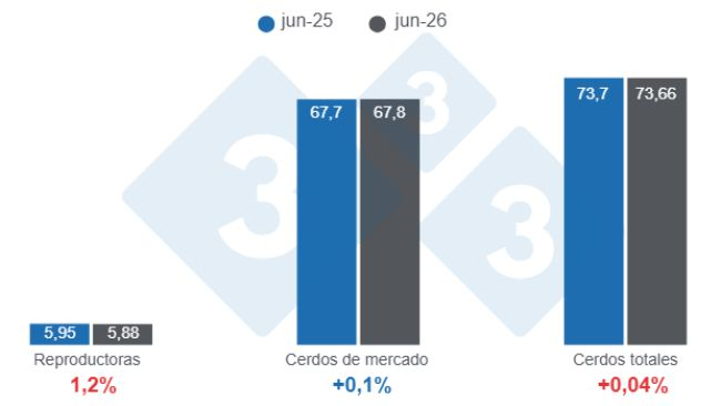 U.S. swine inventory as of June 1, 2026, figures in millions of head, year-over-year changes. Prepared by 333 Latin America using data from USDA-NASS.