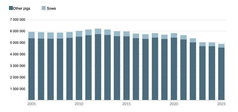 Pig inventory in the Flemish Region, 2005-2025, in number of animals. Source: Statbel, processed by the Agency for Agriculture and Fisheries.
