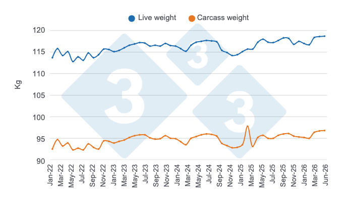 Monthly evolution of Colombia's average live and carcass weights for pigs over the last 4 years and the first half of 2026. Prepared by 333 Latin America with data from ESAG - DANE.