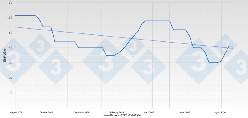 Piglet price in Germany - VEZG - 25 kg