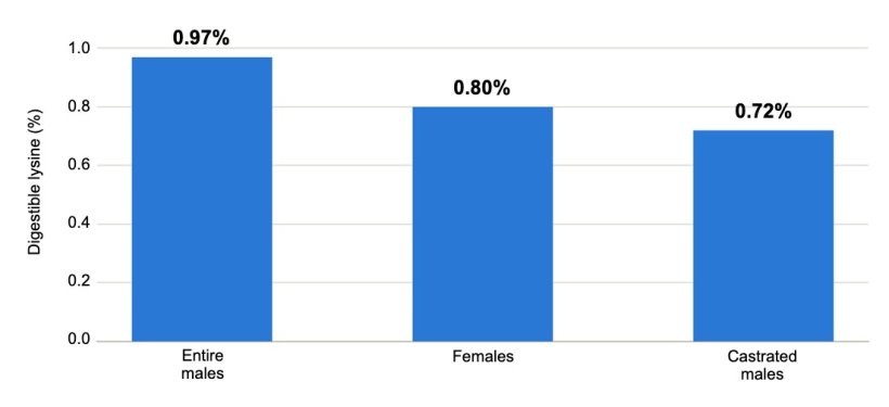 Figure 1. Digestible lysine requirement by category (70&ndash;100 kg). Source: Brazilian Tables for Poultry and Swine, 2024.
