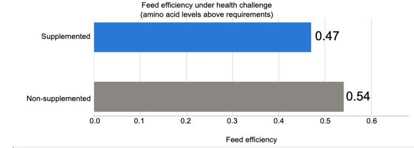 Figure 3. Feed efficiency under health challenge for animals supplemented with amino acid levels exceeding tryptophan, methionine, and threonine requirements, and for non-supplemented animals. Source: Valini et al., 2024.
