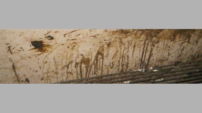 Diarrhea in lactating piglets