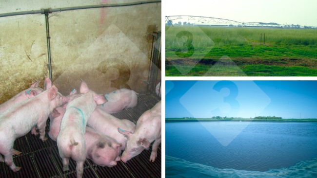 Figure 3.&nbsp;Improper handling of the drinkers negatively impacts operating costs and the environment.
