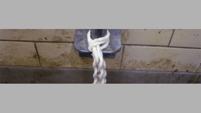 Cuerda de algodón para toma de muestras