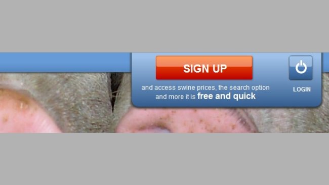 New developments and design changes for user accounts