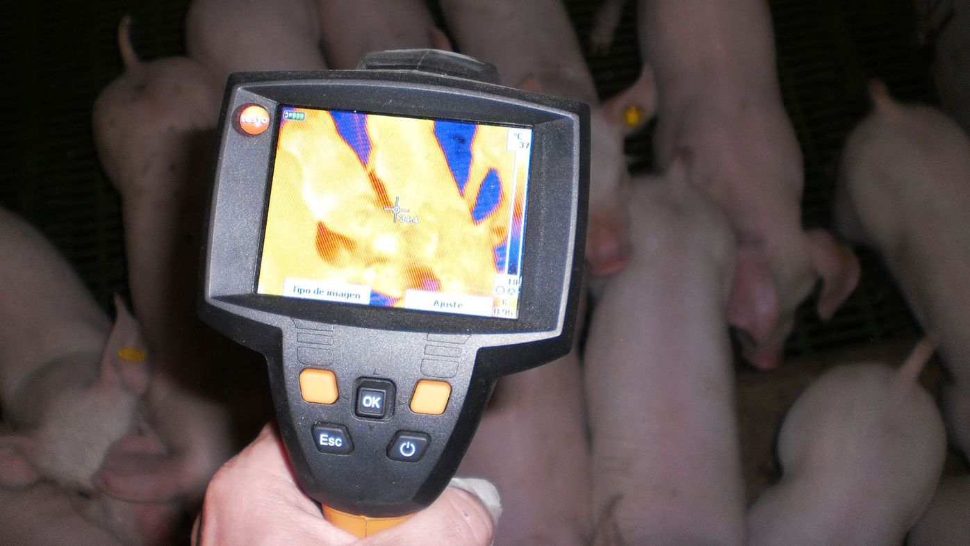 Thermographic cam