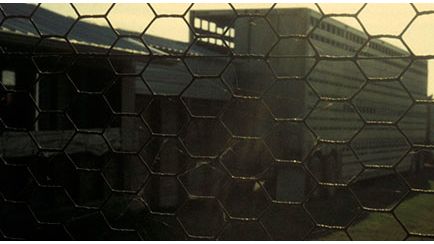 Biosafety and objective confirmation of the hygiene of the lorries between batches