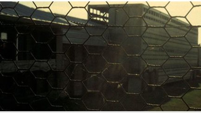 Biosafety and objective confirmation of the hygiene of the lorries between batches