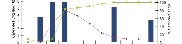 Evolution of the IgGs and IgMs response measured with a blocking ELISA (INGENASA) and of the PCV2 viremia after an experimental exposure (Segalés et al. 2005)