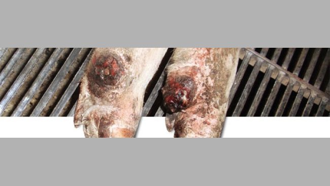 Detachment of the auxiliary digit