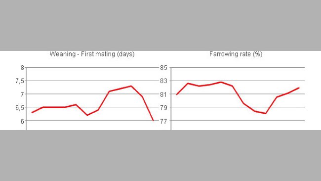 Variations in the interval from the weaning to the first mating and in the percentage of births resulting from the matings according to the month, year 2008