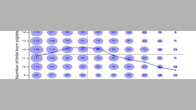 Number of total born piglets according to the parturition number; period January 2006-December 2009