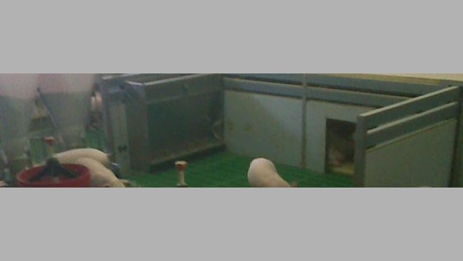 Home-made nests for the piglets