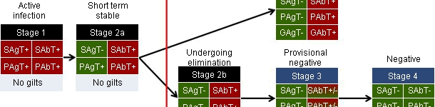 Working definitions of BTW herd PRRS management