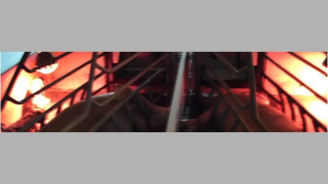 If the heat lamp bothers them, the sows normally lay turning their back to it.