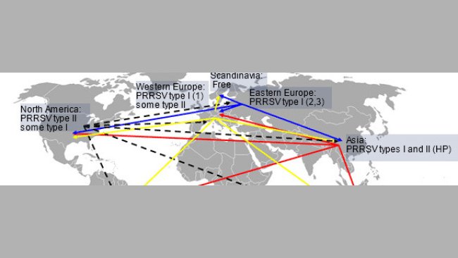 PRRS virus global distribution and hypothetical intercontinental transmission