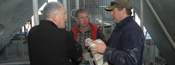 Dawson Bradford (right) at his on-farm feed mill discussing the benefits of Berkshire triticale with mill and piggery worker Geoff Stone and Pork CRC Program 4 Leader, animal nutritionist Dr Rob Wilson (left).