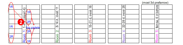 Pieces of advice Home