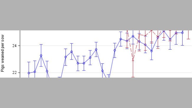 Pigs weaned per sow per year adjusted by period