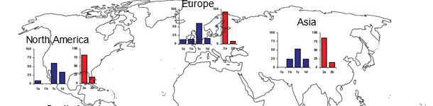 Geographic prevalences of different TTSuV strains