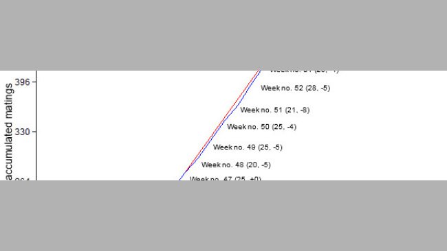 Accumulated matings graph