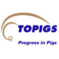 Topigs logo