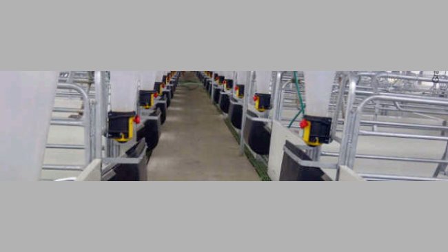 Slow flow with activation system