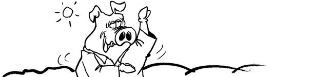 Karate Pig