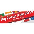 pig-focus.gif