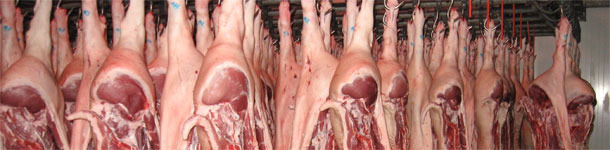 Swine abattoir