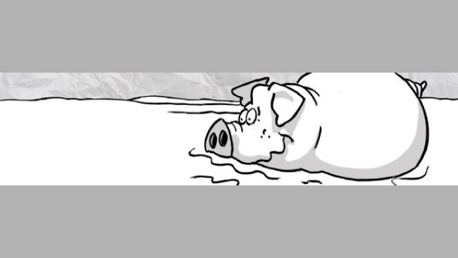 Pig bath