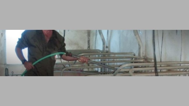 If we have a hose in each farrowing room, the supplementation with water several times a day is an easy process