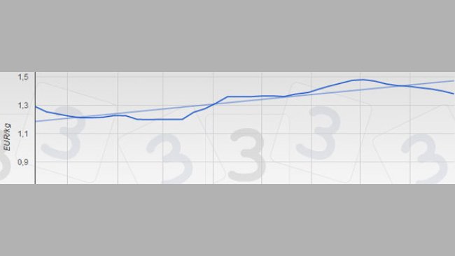 Evolution of the prices