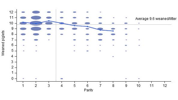 Number of weaned piglets per litter in the 6 months previous to our intervention