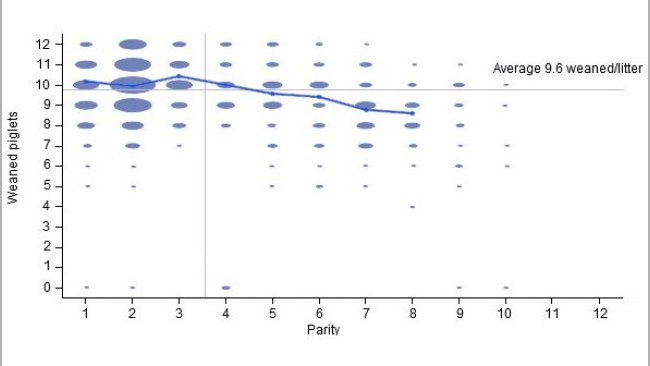 Number of weaned piglets per litter in the 6 months previous to our intervention