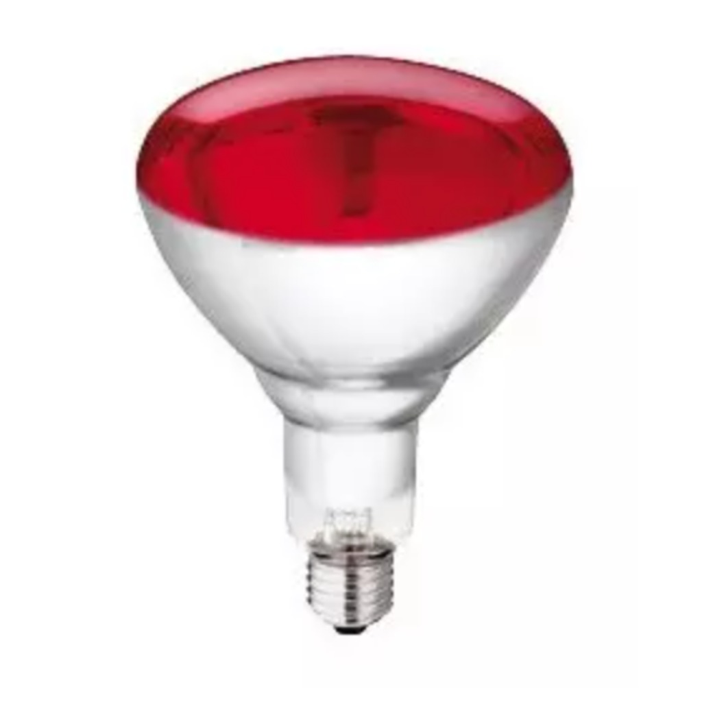 Bombilla Philips calefacción roja HG 250 watt 10uds