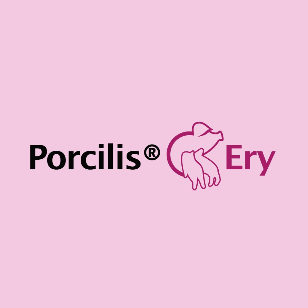 Vacuna: Porcilis® Ery