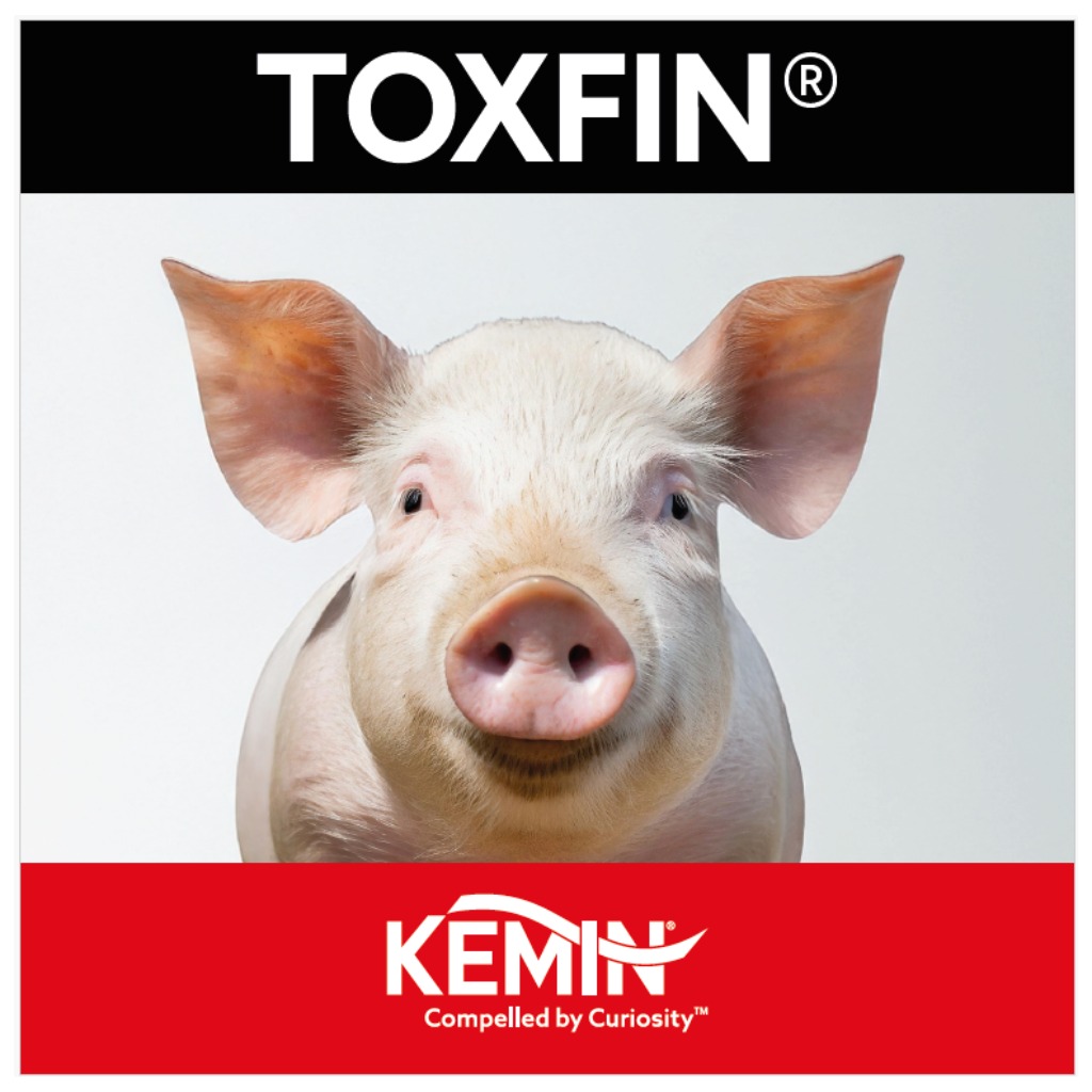 TOXFIN®