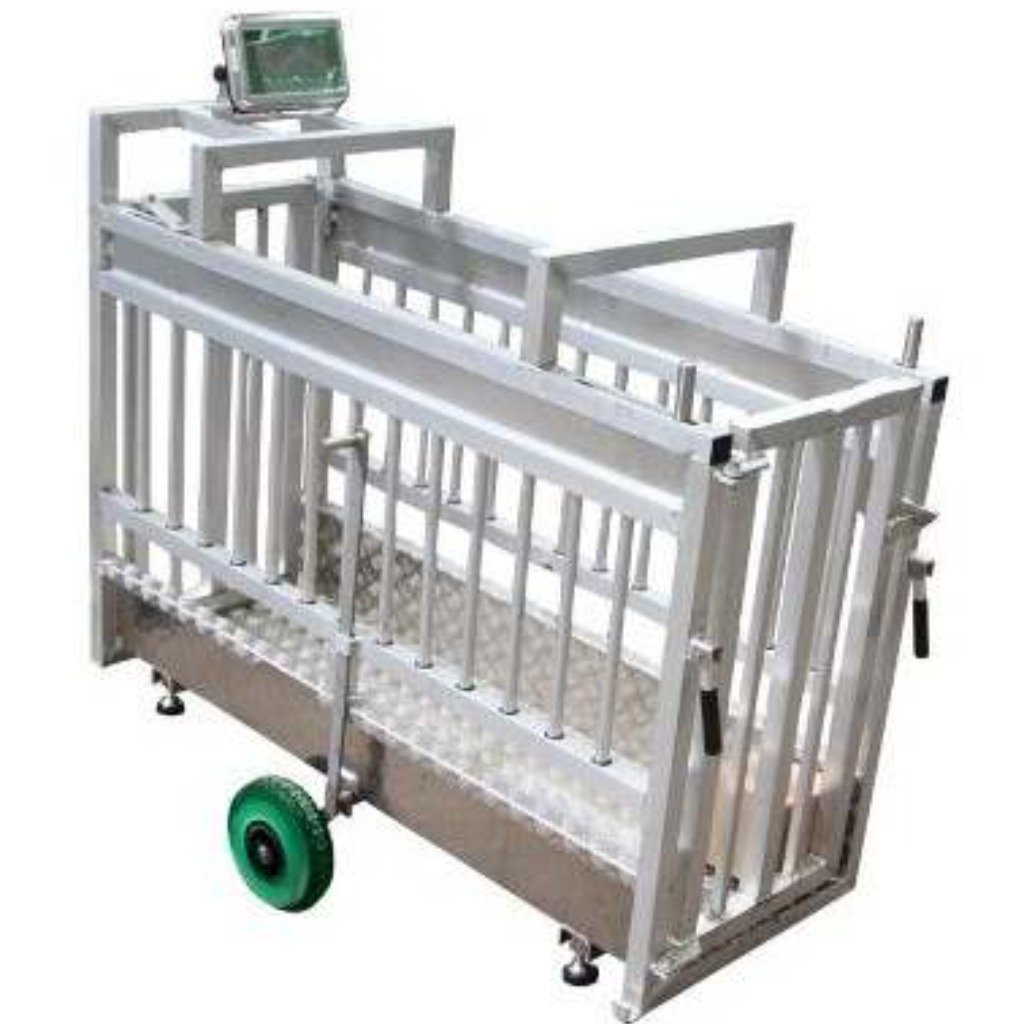 Mobile scale for first-time and finishing sows with open sides