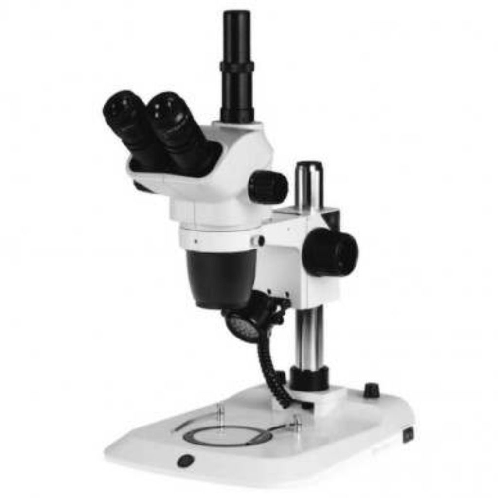 EUROMEX NexiusZoom microscope. Trinocular Stereoscopic Microscope 